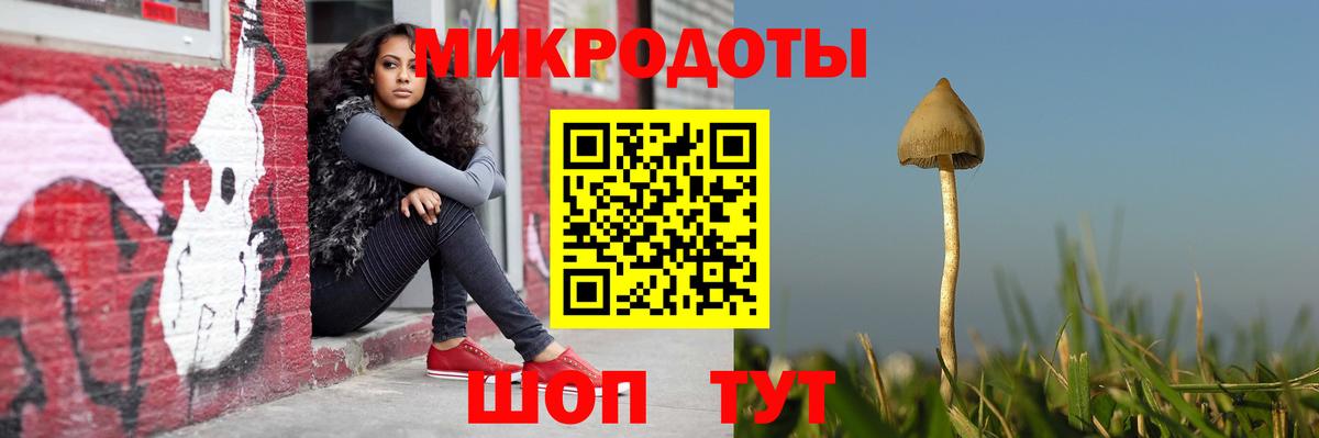 Галлюциногенные грибы Psilocybine cubensis Донецк